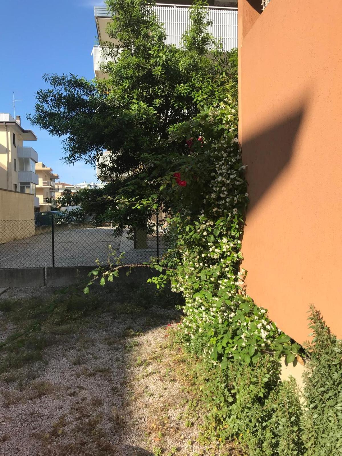 Monolocale A Grado Daire Dış mekan fotoğraf
